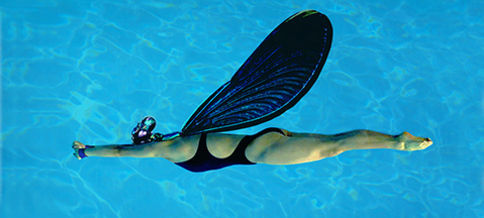 Swimming Fly <br> 85x60 cm <br> Archival Inkjet print <br> Shuffle <br> 2021 <br> 