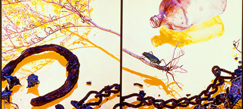  1988 Autumn in August <br> 58x90 cm   <br> Dye-transfer print <br> Color of the 3rd Kind <br> 1992 <br> 